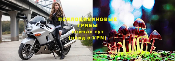 бошки Арсеньев