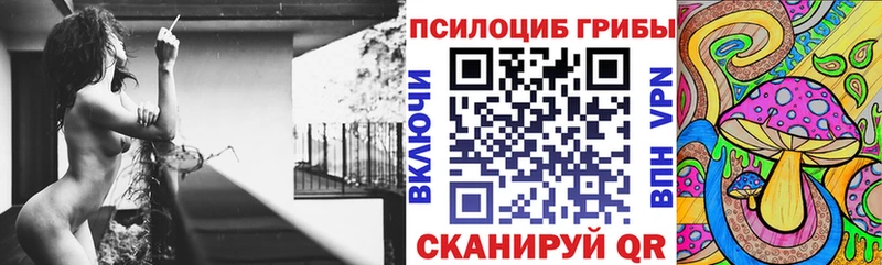 нарко площадка формула  Рыльск  Галлюциногенные грибы Magic Shrooms 